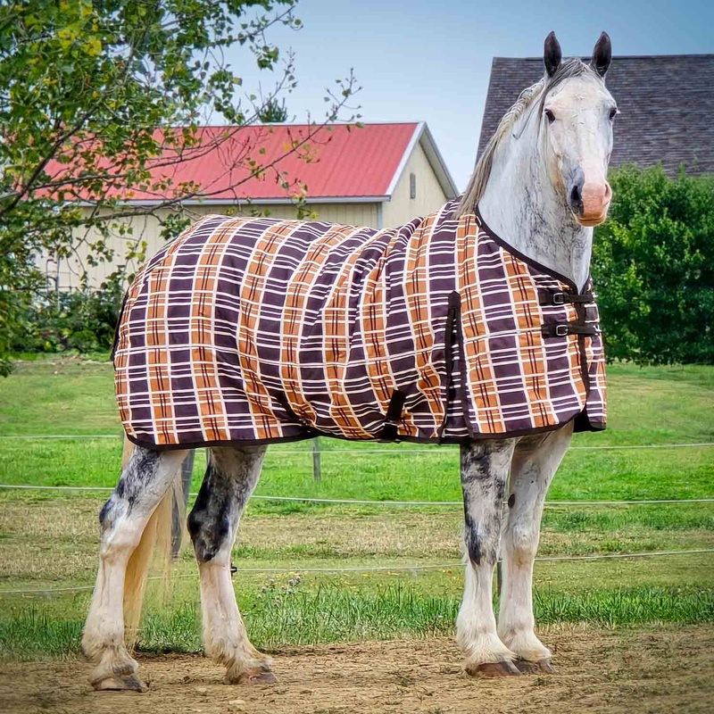 Solaris 1200 Denier Draft Horse Turnout Sheet, 0g Fill, Brown & Cream Plaid