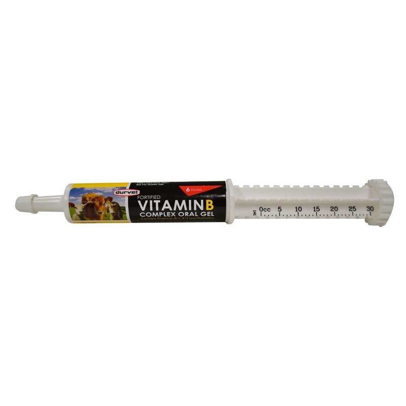 Fortified Vitamin B Complex, 30 ml