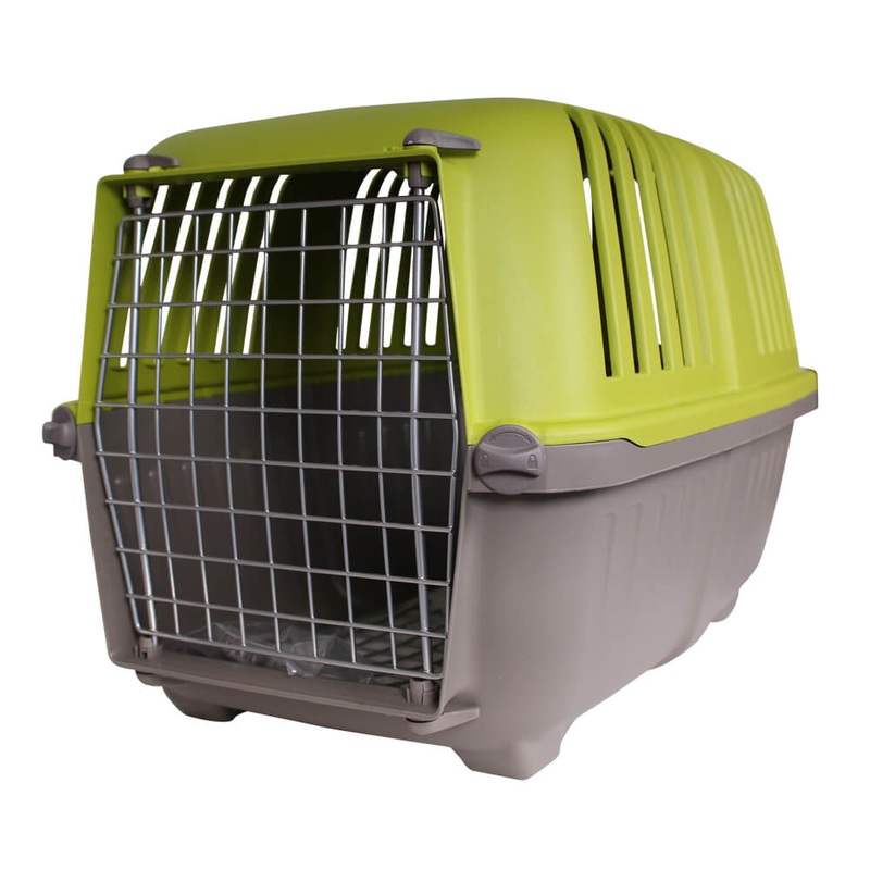 Spree Pet Carrier for Small Dogs and Cats, 22