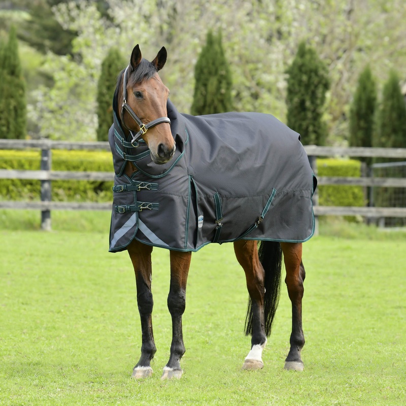 WeatherBeeta ComFITec Plus Dynamic II Detach-a-Neck Turnout Blanket, Medium, 1200D, 220 Gram