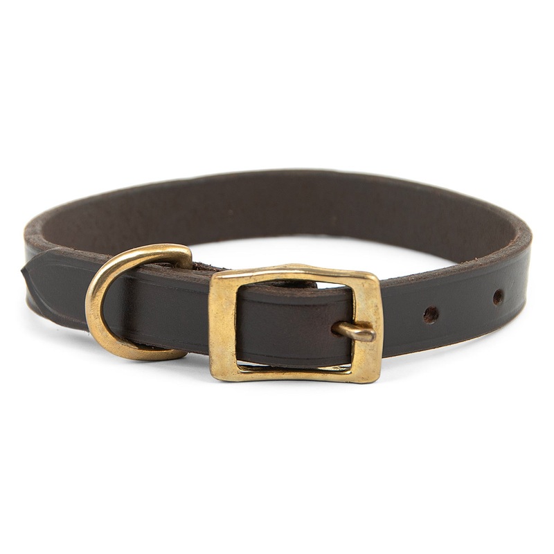 Flat Leather Dog Collar with Brass Hardware