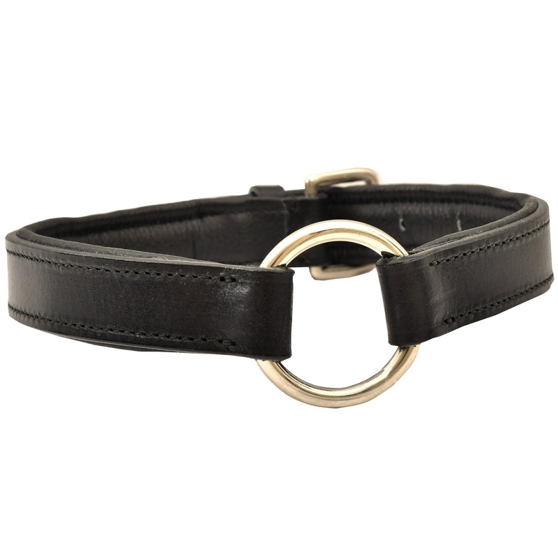 Padded Black Leather Dog Collars