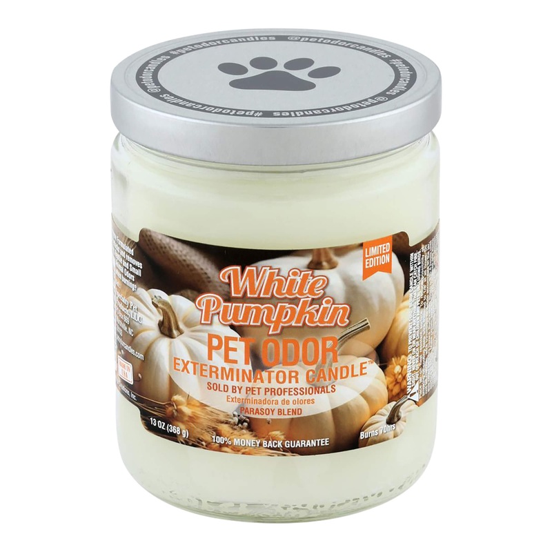 Pet Odor Exterminator Candle, WhitePumpkin, 13 oz