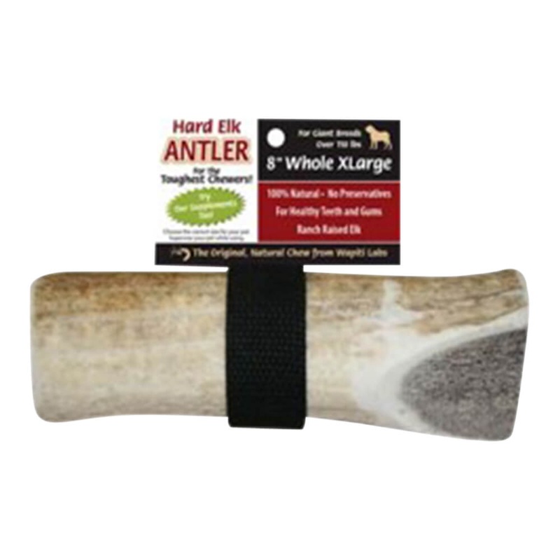 Wapiti Labs Elk Antler Dog Chews, 8, XL Whole