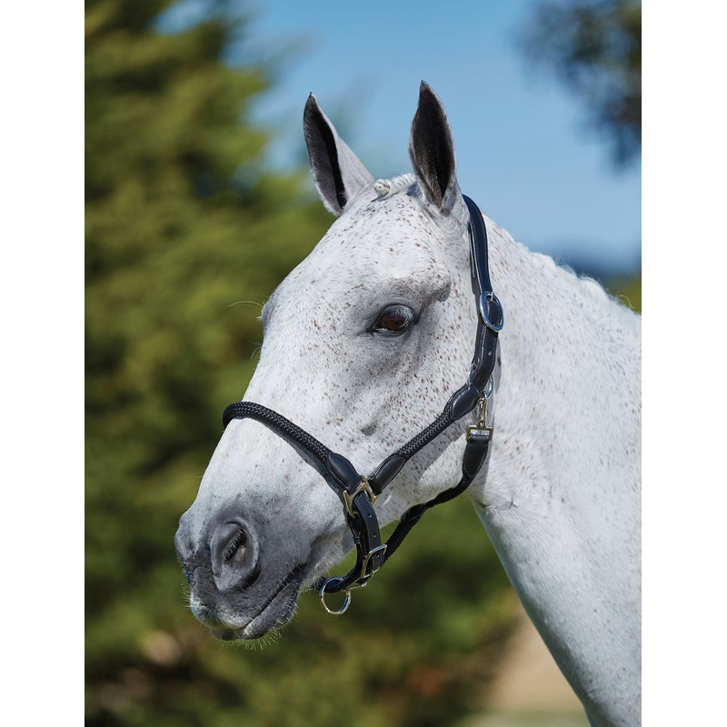 Kincade Leather and Rope Halter