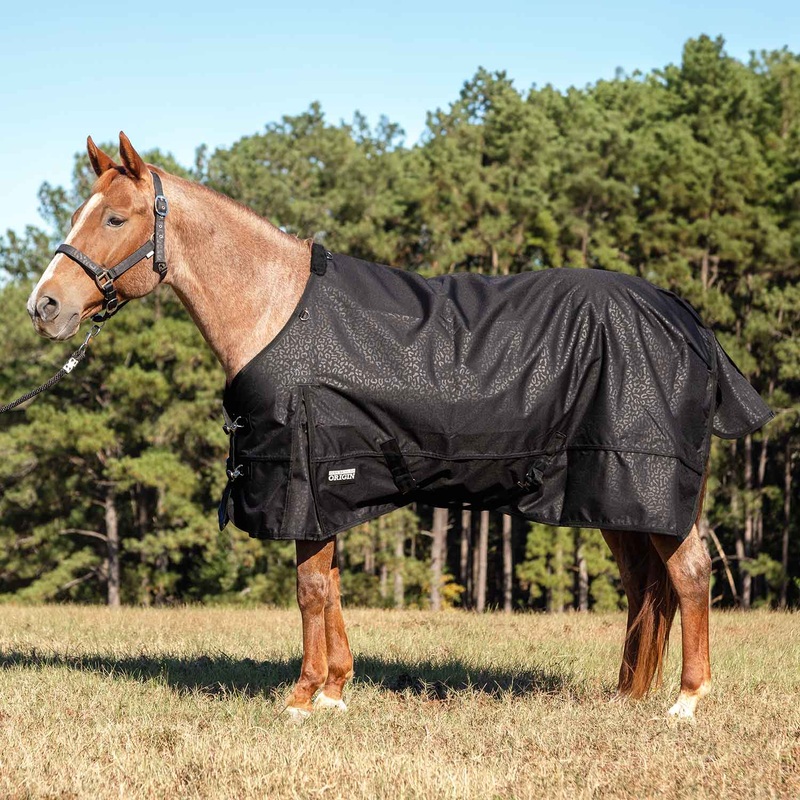 Poplar Head Origin 600D Medium Weight Turnout Blanket, 240g | Waterproof & Breathable Horse Blanket