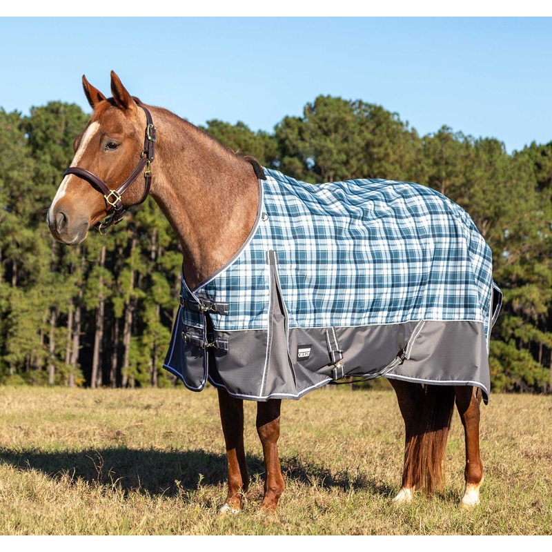 Poplar Head Origin 600D Turnout Sheet  0g Lightweight Waterproof Horse Blanket with Standard Neck & Tail Flap