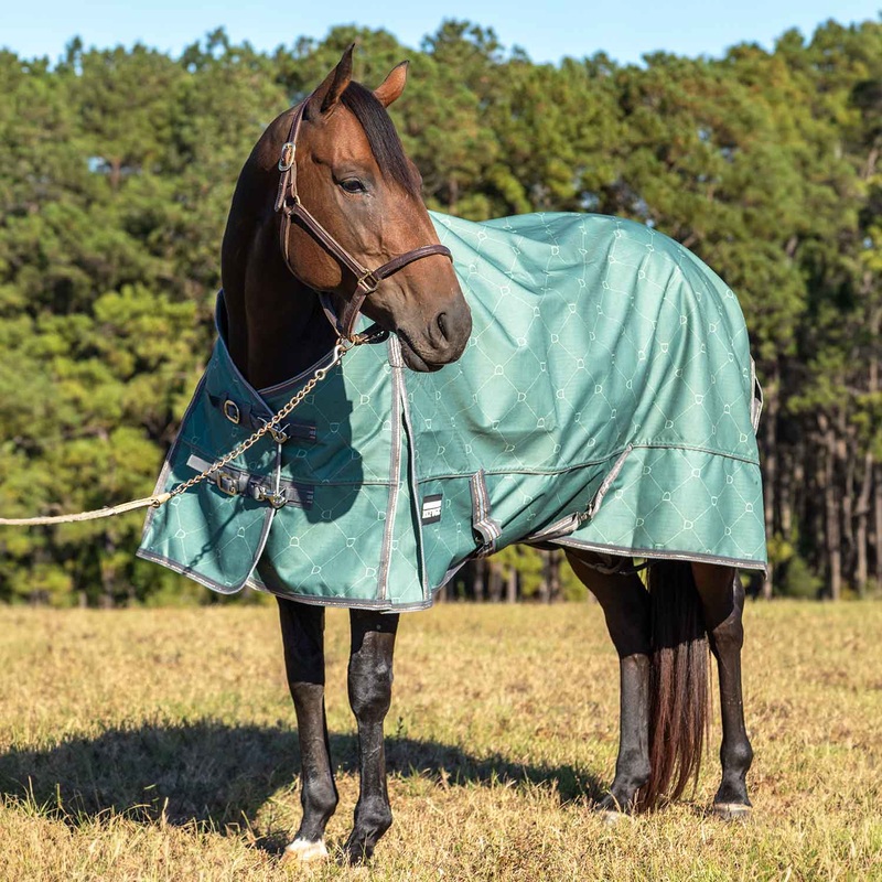 Poplar Head Uniquely English 1200D Turnout Sheet, 0g  Waterproof & Breathable Lightweight Horse Blanket
