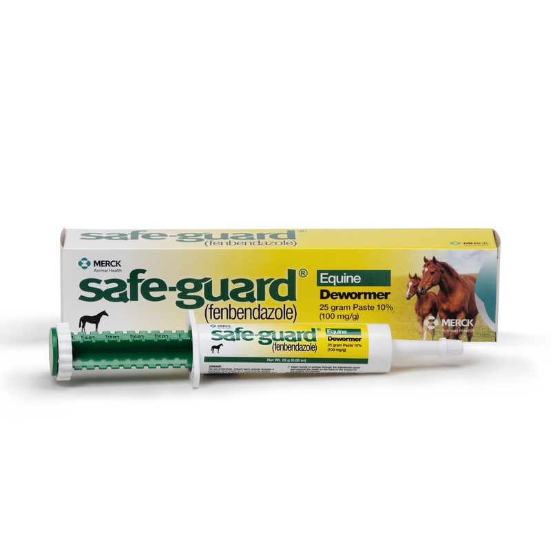Safe-Guard 10% Fenbendazole Horse Dewormer Paste, 25g  Broad-Spectrum Parasite Wormer