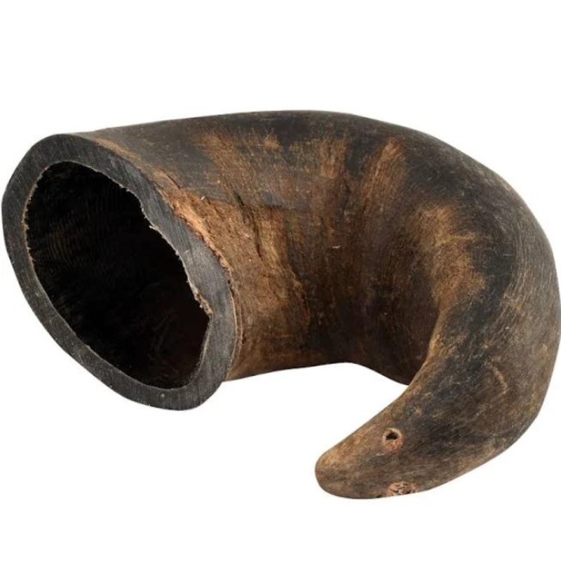Honey I’m Home! Buffalo Horn Large Dog Chew