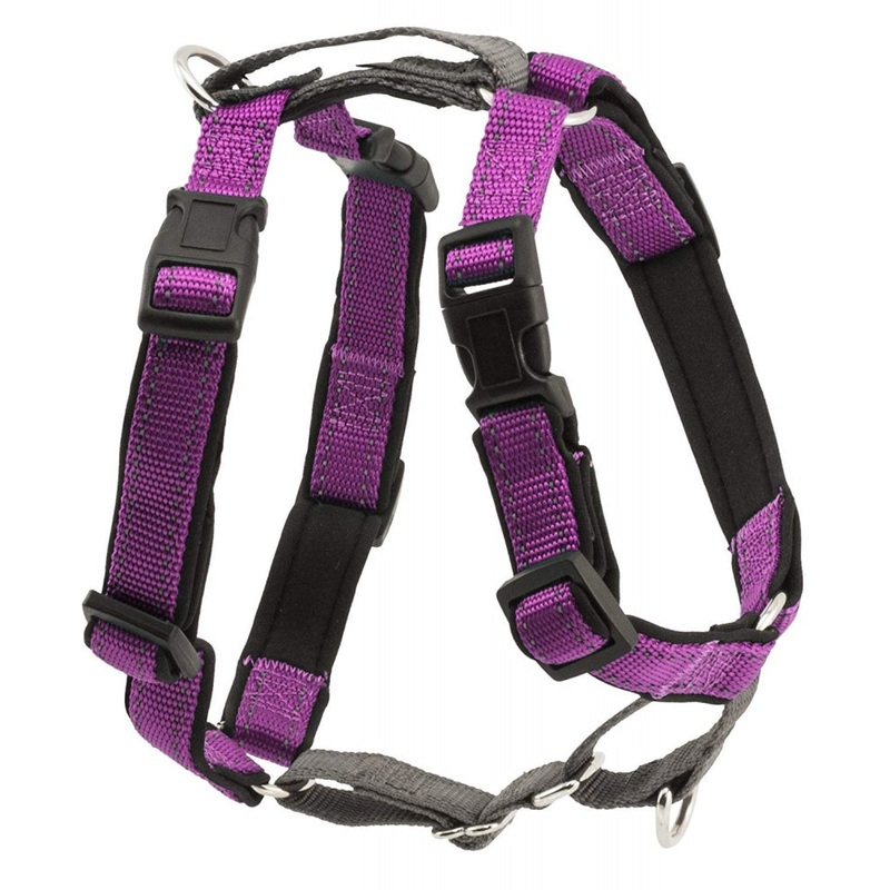 PetSafe 3 in 1 Plum Dog Harness