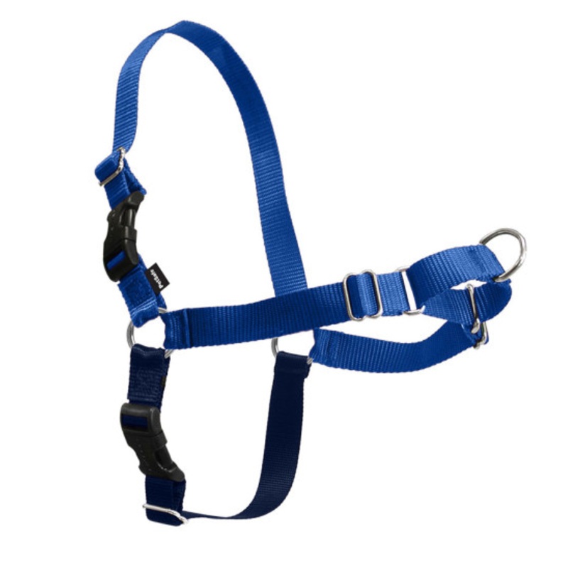 PetSafe Easy Walk Black & Blue Dog Harness