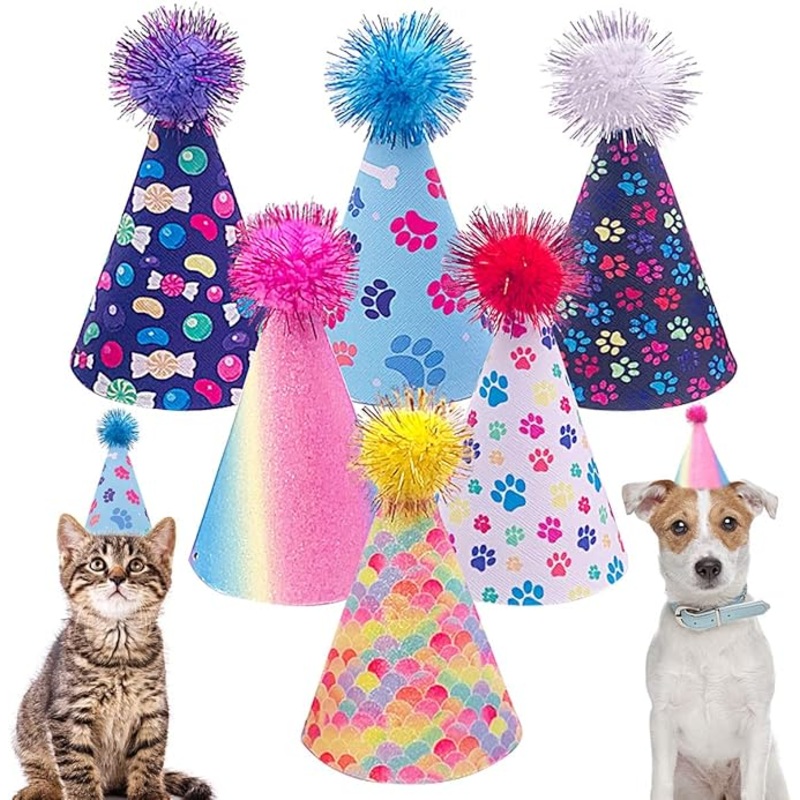 Pet Birthday Hat Small / Medium