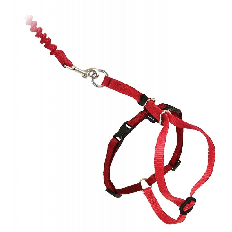 PetSafe Come with Me Kitty Red & Cranberry Harness and Bungee Leash for Cats