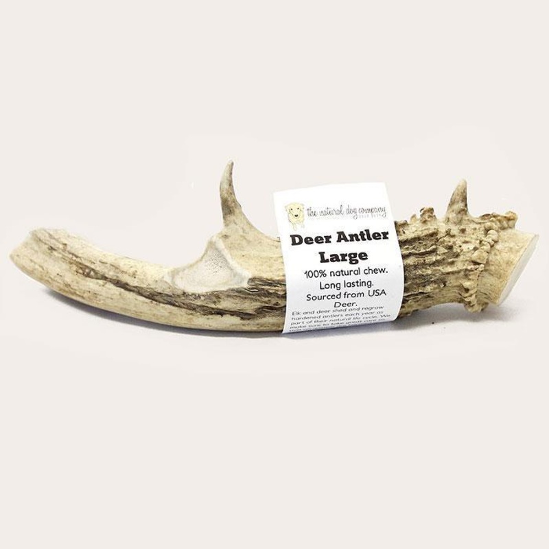 Tuesday’s Natural Dog Company Deer Antler