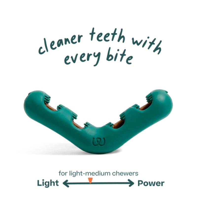 Woof Bite n’ Brush Dental Chew Toy