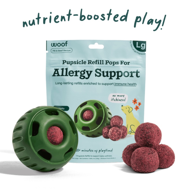 Woof Pupsicle Allergy and Immunity Pops Recipe Dog Treat