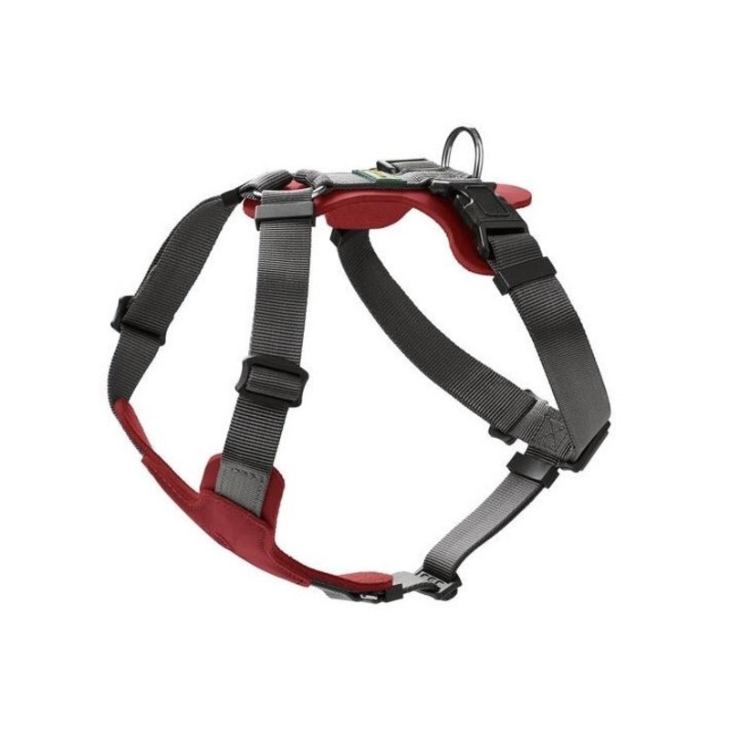 AALBORG Mixed Harness|cognac|red|olive|S|M|M-L