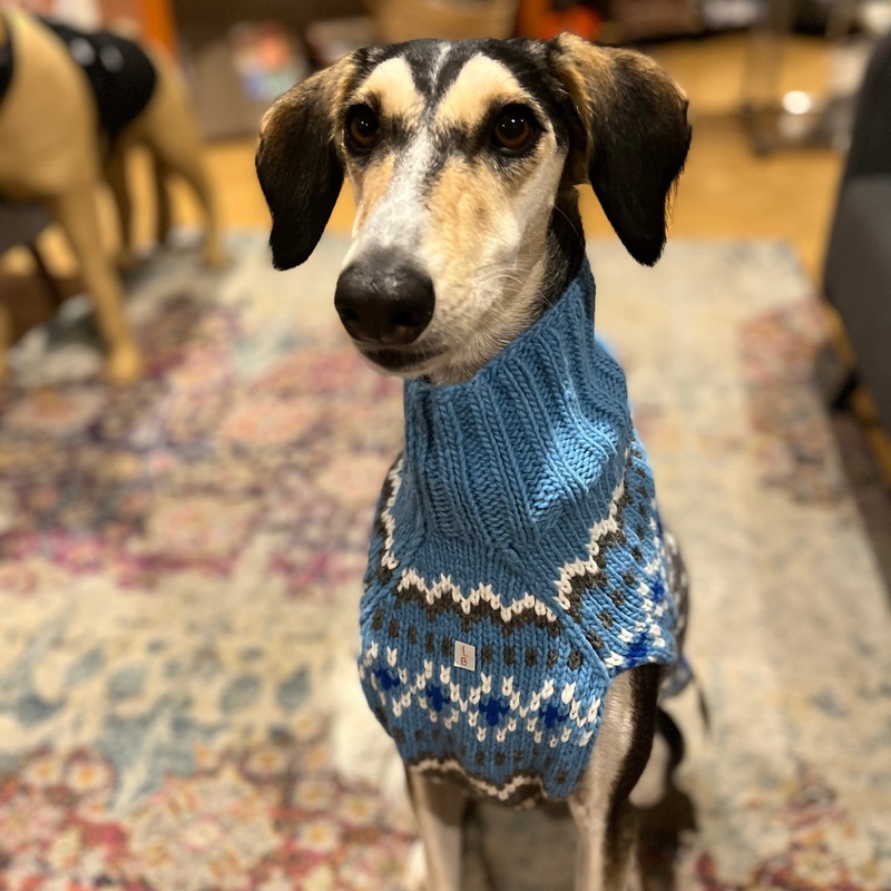 Chilly Dog Sweaters Light Blue Fairisle Sweater