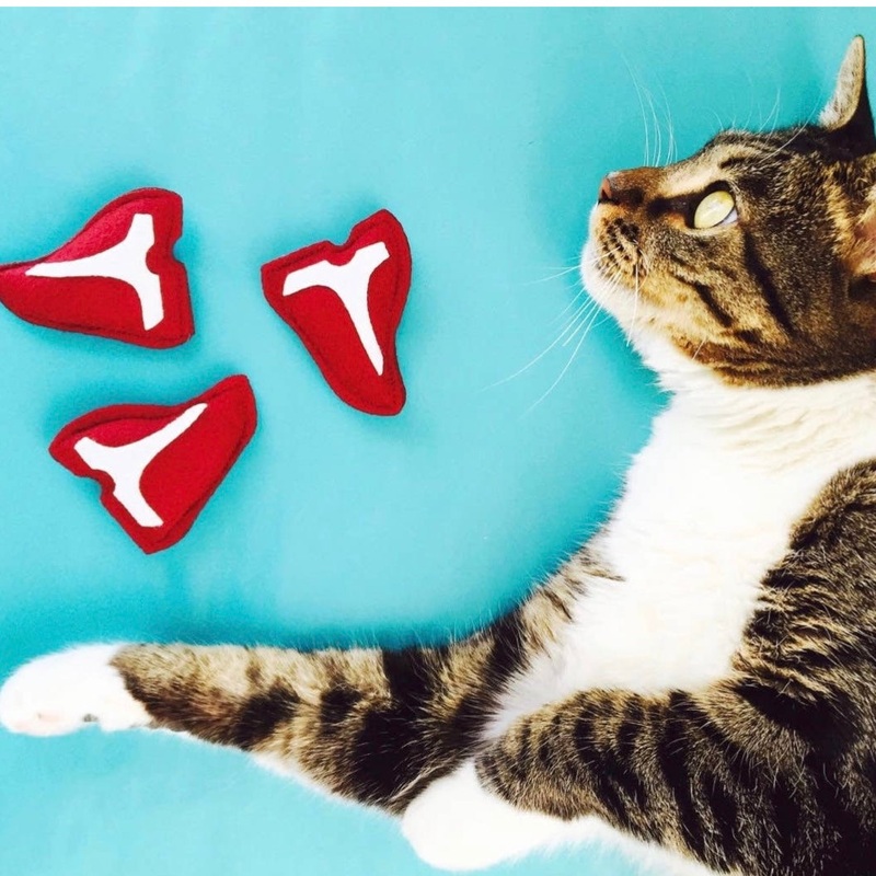 Housecat Club Catnip Steak Toy