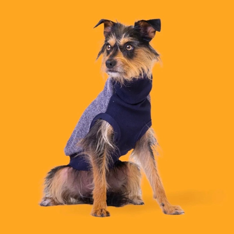 Long Dog Clothing George Turtleneck