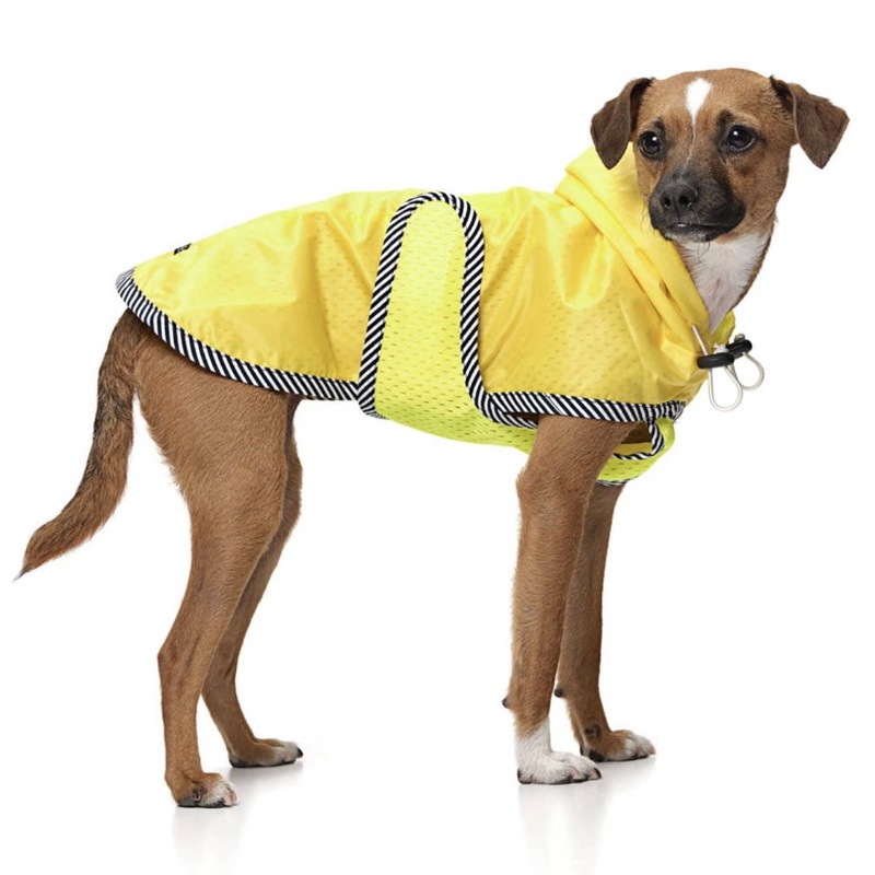 LoveThyBeast Colorblock Nylon Rain Jacket