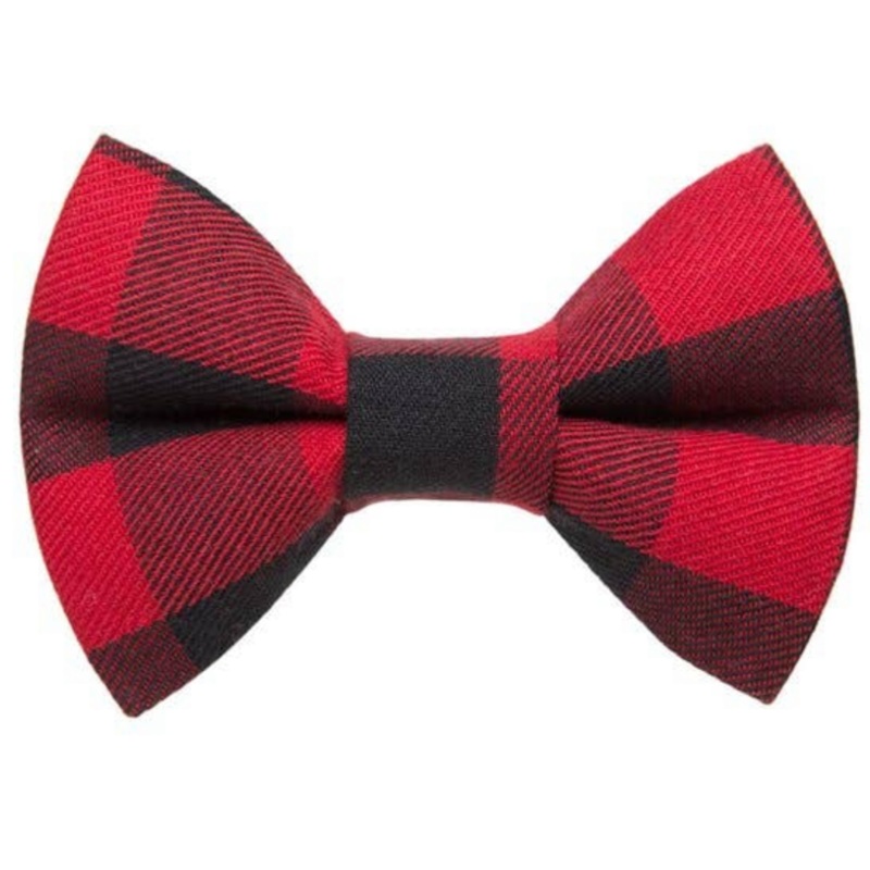 Sweet Pickles Cat Bow Tie: The Wildcard