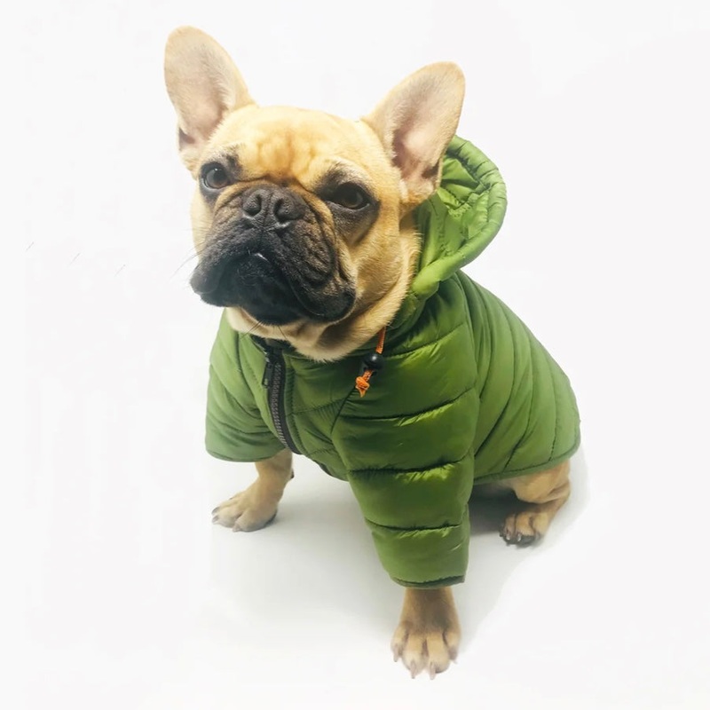 WagWear Puffer Jacket|8|10|12|14|16|18|20|22|24|Red|Olive