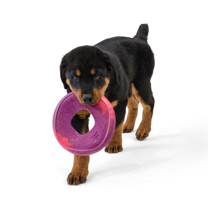 West Paw Sailz|Emerald|Surf|Hibiscus