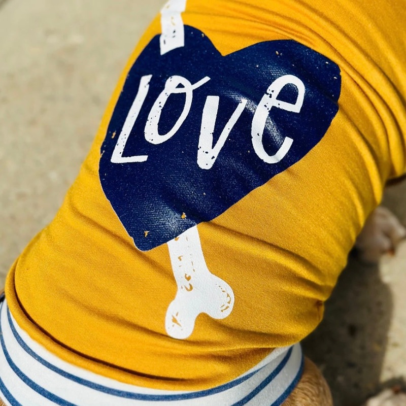 Long Dog Clothing Lincoln Raglan Tee