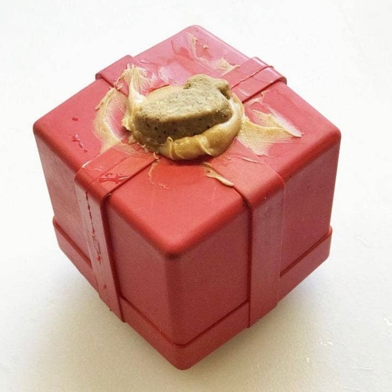 SodaPup Gift Box Treat Dispenser Chew Toy