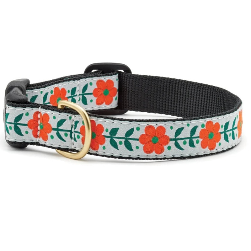 Up Country Orange Flowers/Orange You Pretty Collar