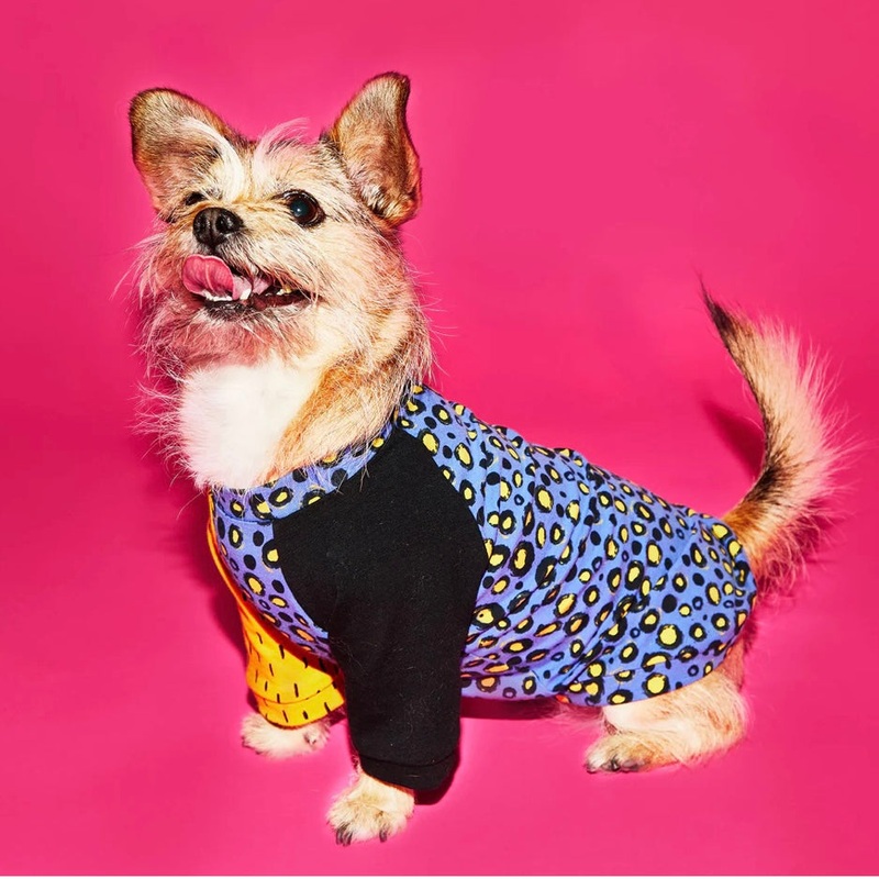 Ware of the Dog Abstract Tee Shirt