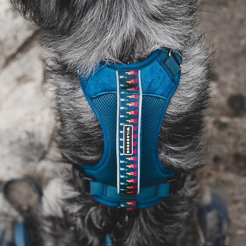 Wilderdog Adventure Harness|S|M|L|Olive|Sienna|Seafoam|Pacific Blue|Huckleberry|Black