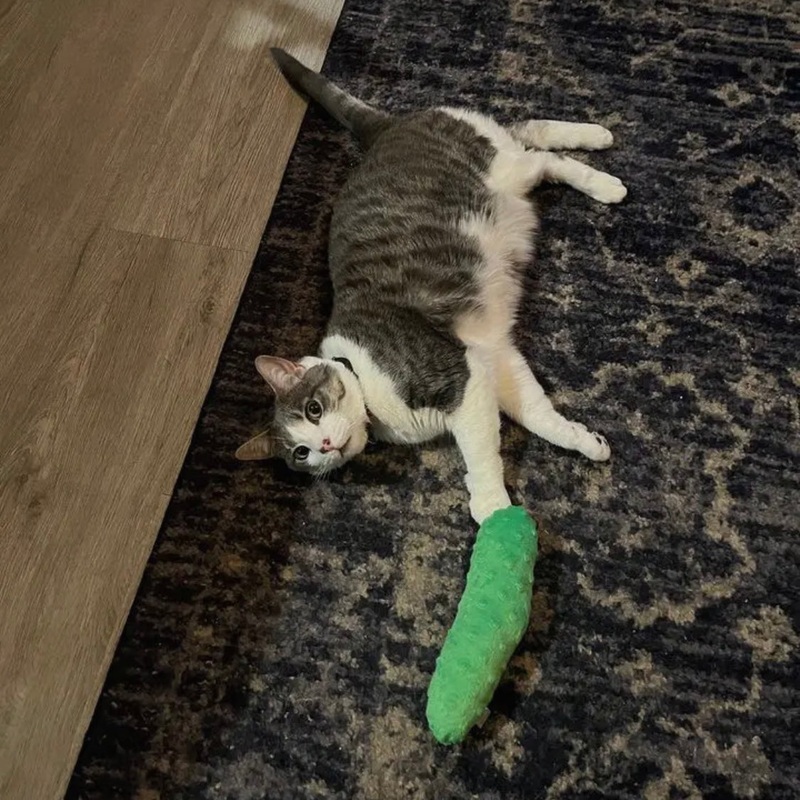 Screaming Pickles Double Stuffed Pickle Catnip Kicker