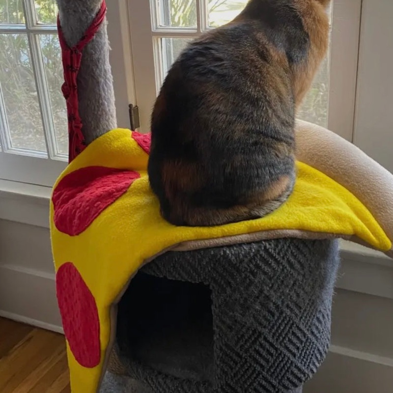 Screaming Pickles Pizza Slice Pet Bed/Mat