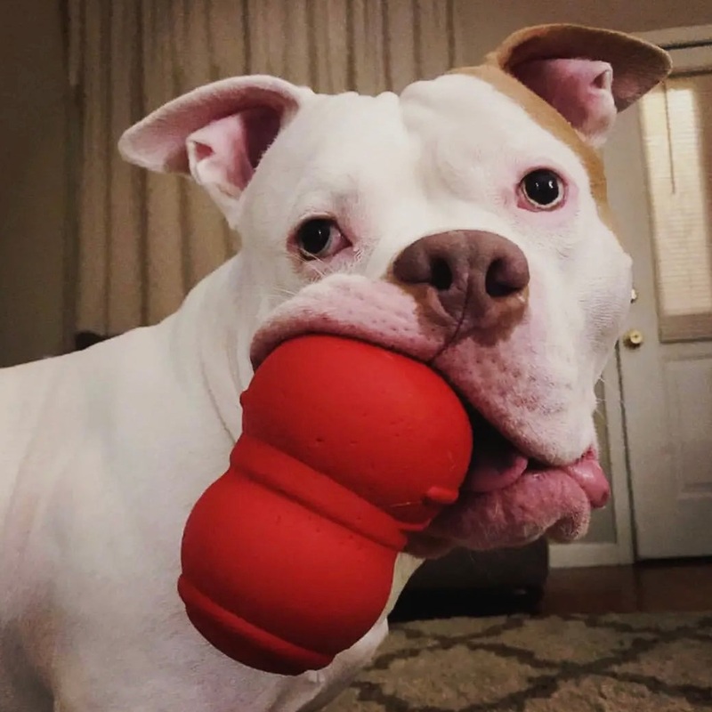 SodaPup Snowman Treat Toy