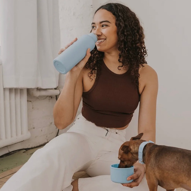 Springer Dog & Me Water Bottle