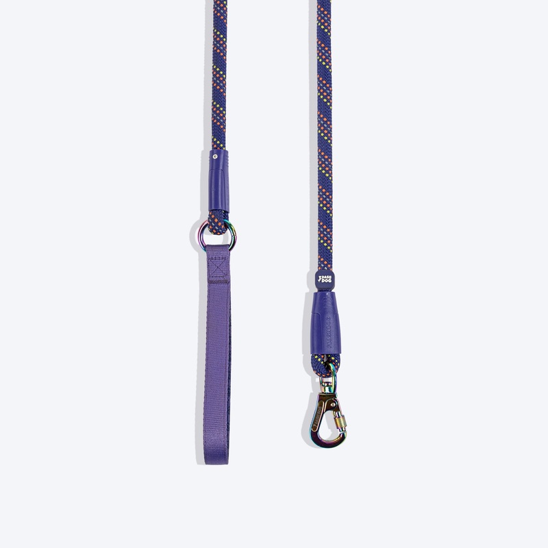 Dash Dog Purplehorizon Chaser Rope Leash For Dog – Purple – 6 ft