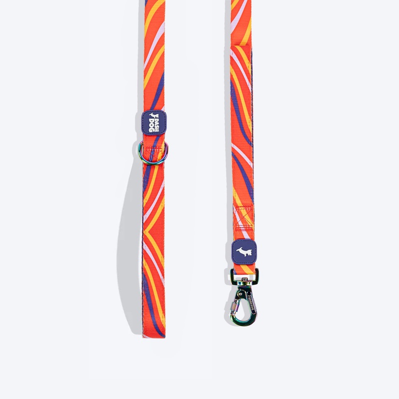 Dash Dog Radiant Blaze Dual Handle Leash For Dog – Orange