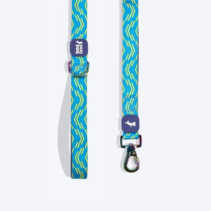 Dash Dog Vector Dual Handle Leash For Dog – Aqua Blue