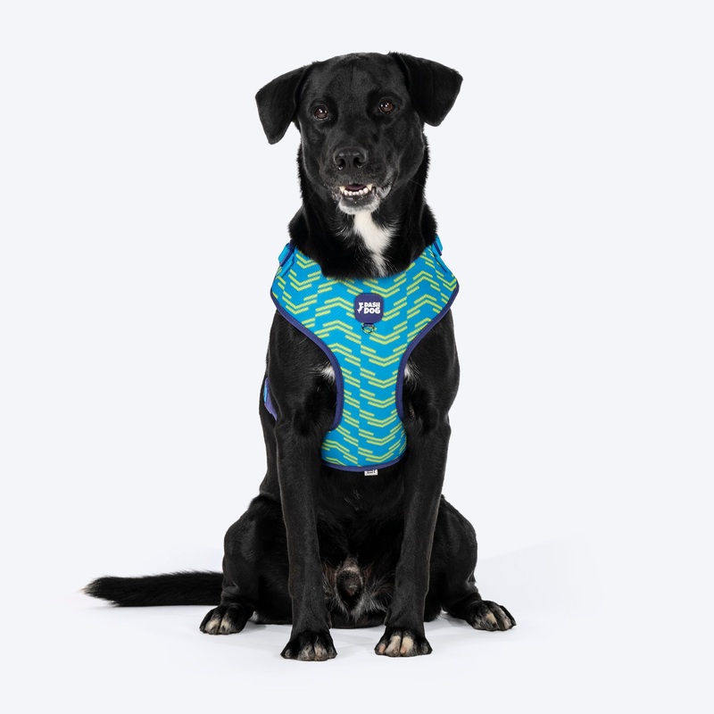 Dash Dog Vector Easy Walk Harness For Dog – Aqua Blue