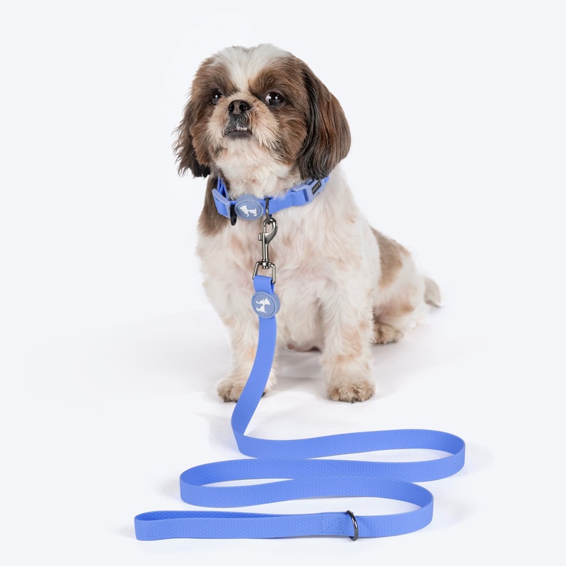 HUFT Hive Harmony Waterproof Collar and Leash Set For Dog – Blue