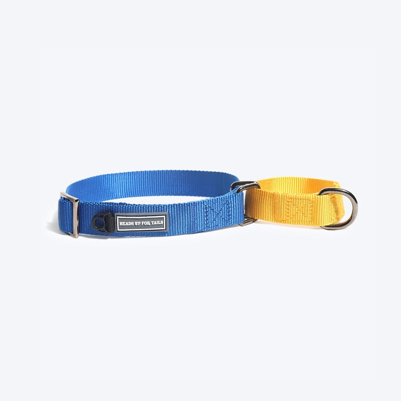 HUFT Martingale Dog Collar – Navy and Yellow