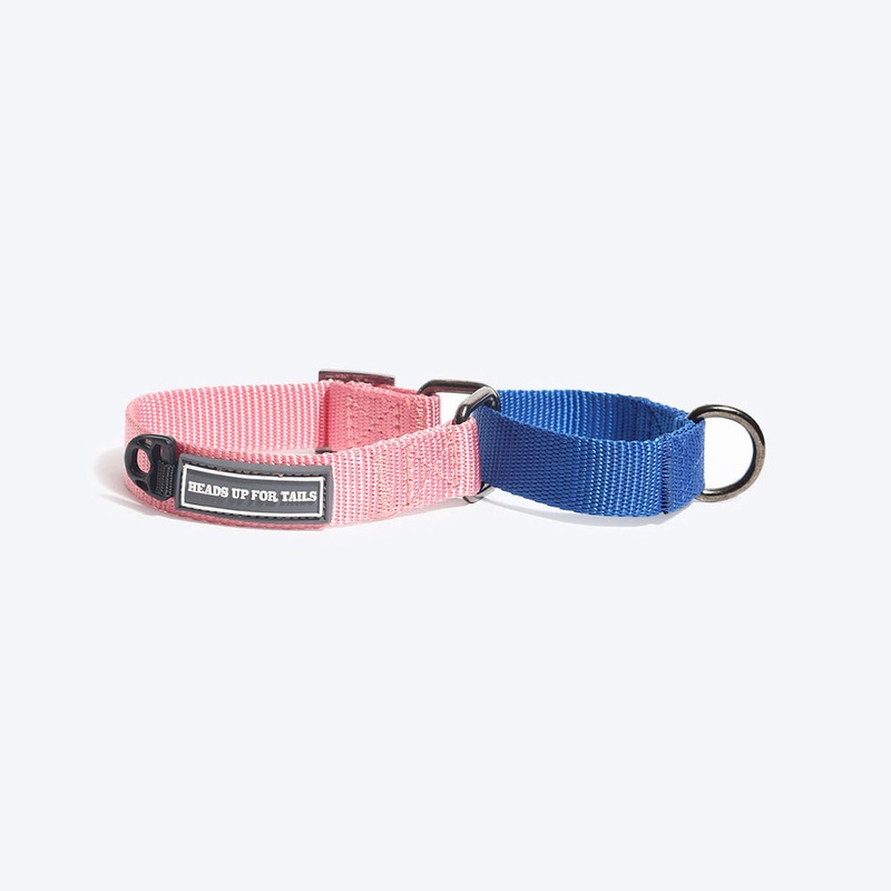 HUFT Martingale Dog Collar – Pink and Navy