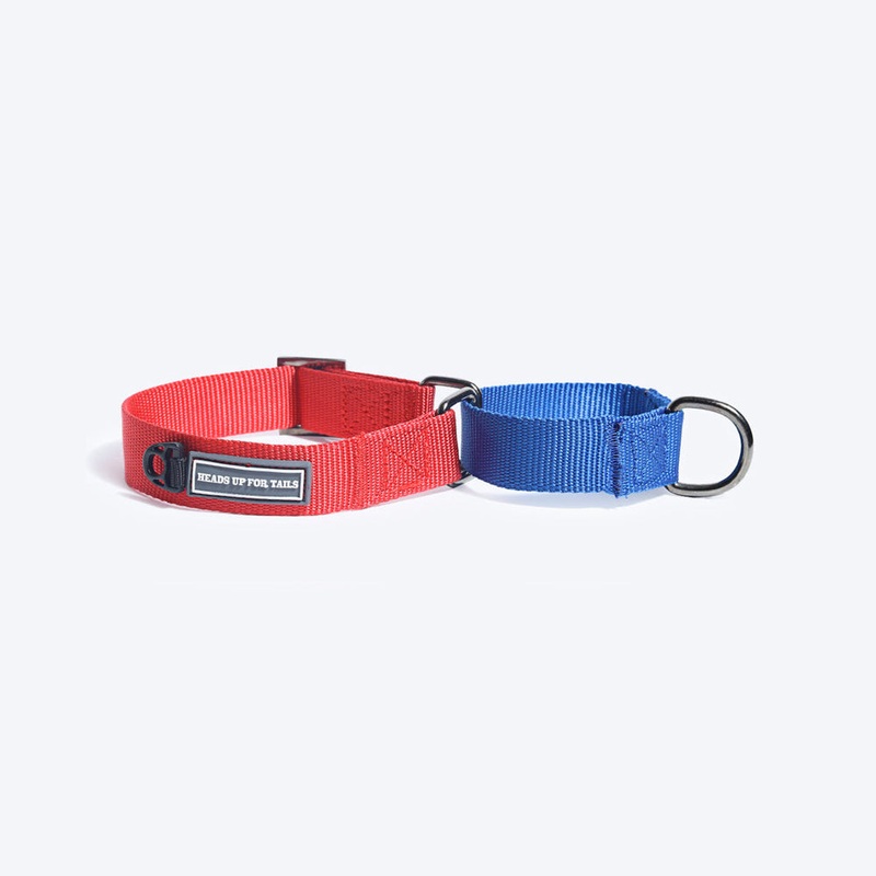 HUFT Martingale Dog Collar – Red and Navy