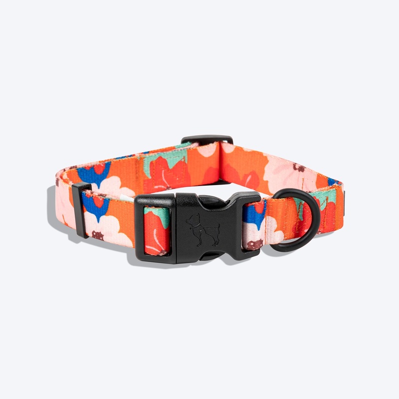 HUFT Petal Play Printed Dog Collar – Orange