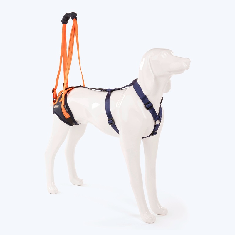 HUFT Trooper Hind Leg Support Lift Harness For Dogs – Navy Blue – Set Of 2
