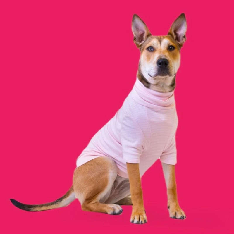 Long Dog Clothing Flamingo Tee