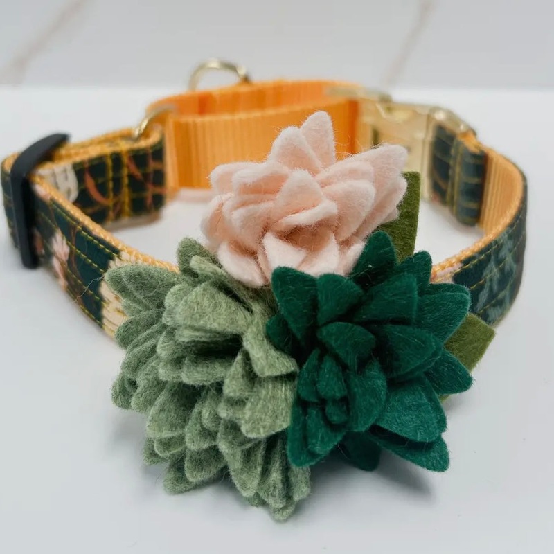 Mimi Green Succulent Collar Flower